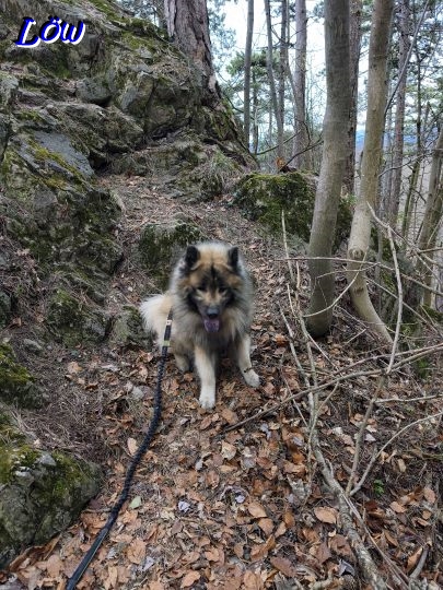 16.3.2026 - Ich will wieder weiter